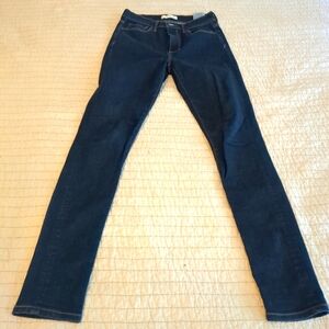 Banana Republic Blue Skinny Jeans